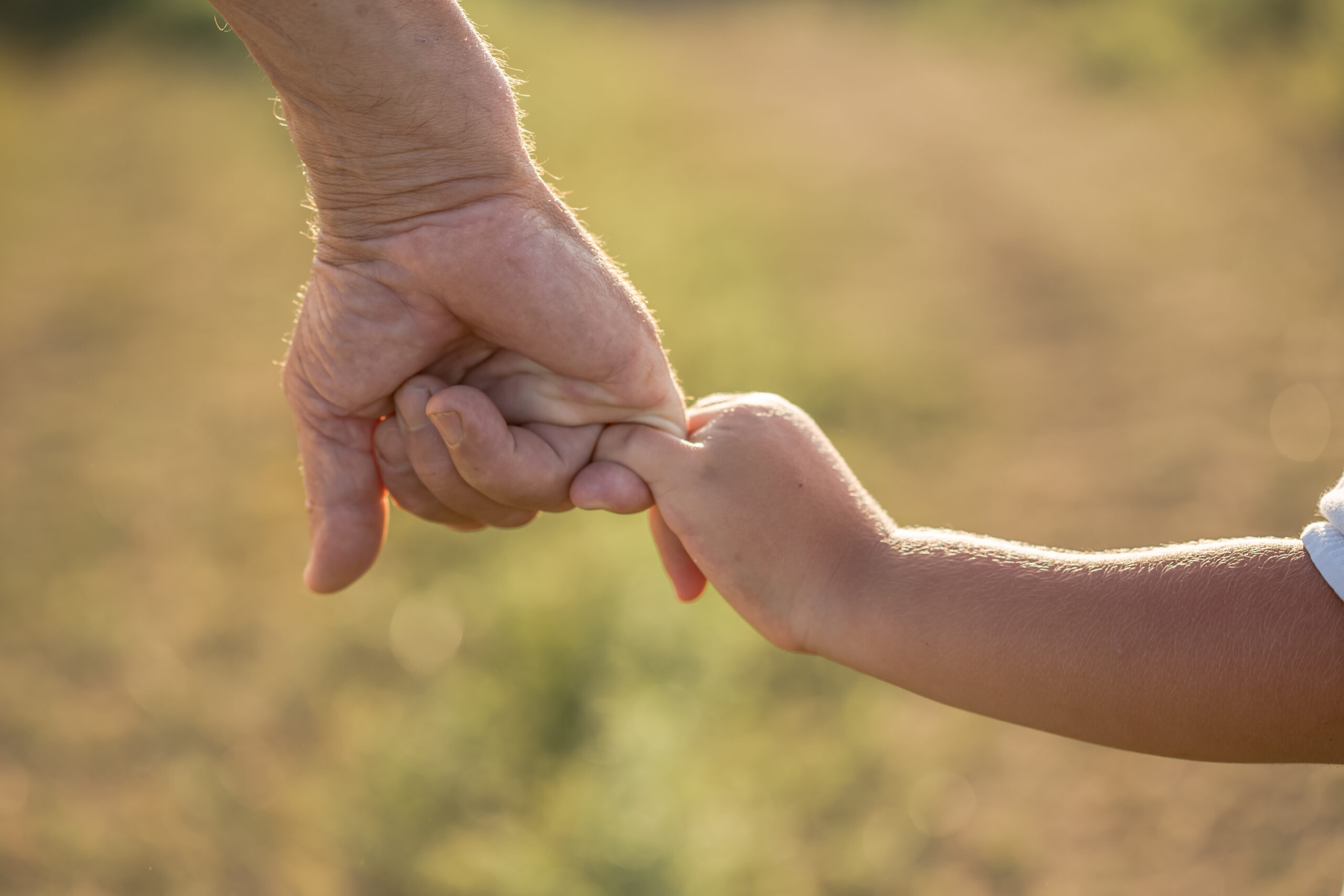 あなたが現在見ているのは お笑い芸人バッテリィズ・エース氏も探偵に依頼！実は需要が高い「肉親・親族の人探し」